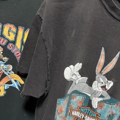 Vintage 90s Harley Davidson Sun Faded Single Stitch T Shirt Looney Tunes Taz XL