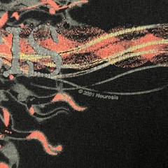 Vintage Neurosis “A Sun that Never Sets” T Shirt 2001 Metal Band