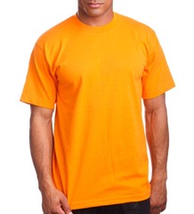Pro 5 Athletic Fit T-Shirt
