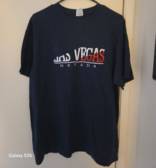 Delta Pro Weight Men’s Las Vegas Nevada Graphic T-Shirt, Blue, L, Crew Neck