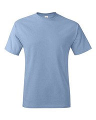 Hanes 5250 Unisex Authentic T-Shirt