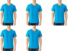 Fruit of the Loom Men’s V-Neck Tee (Pack of 5) MANY COLORS AVAILABLE