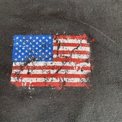 Red White and Blue Collar Patriotic Tee