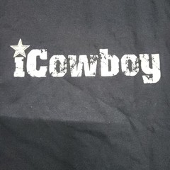 HOLOGRAM Dallas Cowboys T Shirt Apparel I Love Cowboys L Terrell Owens Navy 131