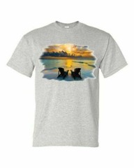 Adult DryBlend® T-Shirt – ( WISH YOU WERE HERE – COLOR CHANGING SOLAR / BEACH /