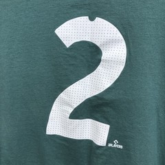 Nike Boston Red Sox Alex Bregman 2025 City Connect T-Shirt Mens Size 2XL Green