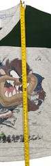 VINTAGE. Looney Tunes Taz Ringer V-Neck Graphic Tee Gray/Green Cotton M KIDS