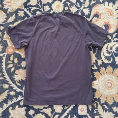 Arc’teryx Graphic Logo T-Shirt Men’s M Medium Faded Brown Gray