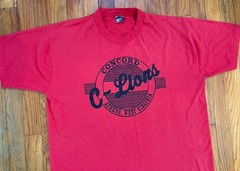 Vintage 90s Single Stitch Concord University Mountain Lions T-Shirt Men’s XL
