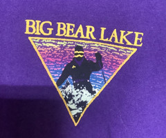 Vtg Lee Big Bear Lake Graphic Tee WORK SUCKS IM GOING SKIING Sz L XL Purple USA