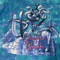 Vintage 90s Disney Blizzard Beach Mickey Inc Tag Size Large Made In USA Rare