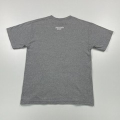 Second Son T-Shirt Men’s Medium Grey Short Sleeve Graphic Print Crew Neck