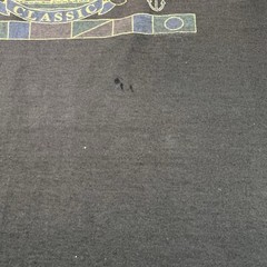 VIntage Fruit of The Loom T Shirt Men 2XL Single Stitch Florida Classic Flags