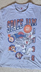 Champion Men’s M Gray Space Jam Looney Tunes Tune Squad Graphic Crew T-Shirt