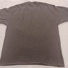 Hanes EcoSmart Edit Or Regret It Graphic T-Shirt L Mens Gray Funny Writer Tee