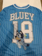 Bluey and Bingo “This is Fun” #18 Men’s Jersey Blue • XL Dad baseball
