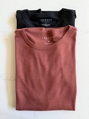 Unbound Merino 100% Superfine Wool T-Shirts Mens Small Lot 2 NWOT Black/ Sedona