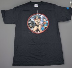 DC Universe Batman Wonder Woman Superman Hanes Adult Medium T-Shirt