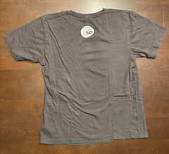 Skateboard Shirt What Could Possibly Go Wrong Grey Small District Made SCI