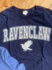 Family Pack – (10) Harry Potter / Universal Shirt Great deal! L, M, Youth, Teen