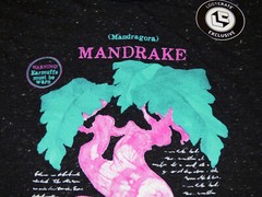 Harry Potter Mandrake T-Shirt – Unisex XL – Loot Crate Exclusive