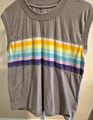 KAVU Men’s Sleeveless Crew Neck Knit T-Shirt L Gray Multicolor Striped