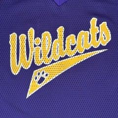 Vintage 80s-90s Wildcats Purple Mesh #20 Sports Jersey Size M Made in USA