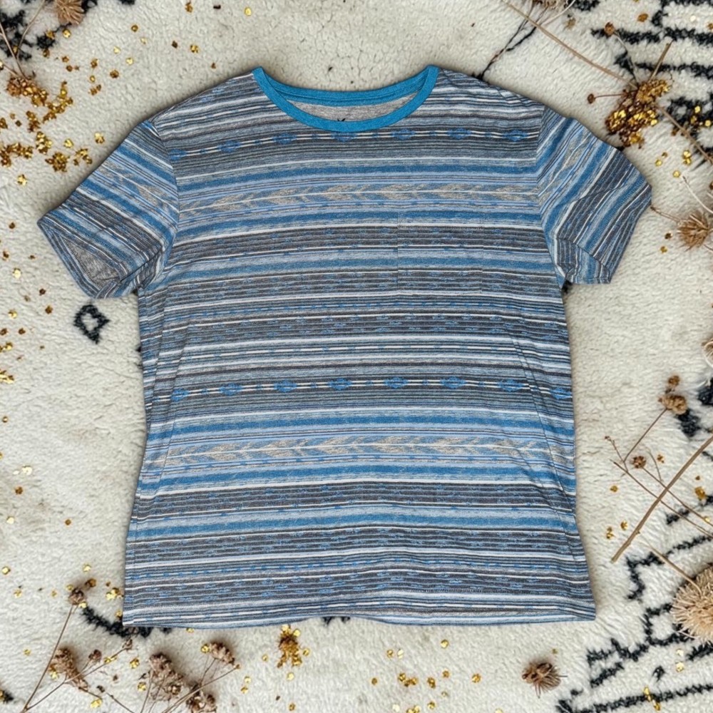 American Eagle Outfitters – Mens Large Blue Striped T-Shirt