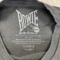 David Bowie Ziggy Stardust Graphic T-Shirt Music 2XL classic glam rock & Roll