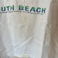 Vintage 90s South Beach Dolphins Single Stitch Shirt Adult Large