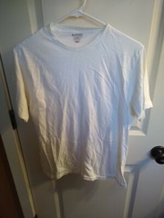 T-shirts lot of 12 adult medium various brands colors, some new