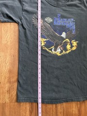 Vintage Black Harley Davidson Eagle Ann Arbor Shirt Men’s Small