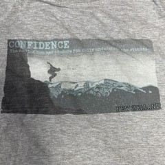 Wild Kiwi “Confidence ” Gray Designed in New Zealand T-Shirt Sz Small
