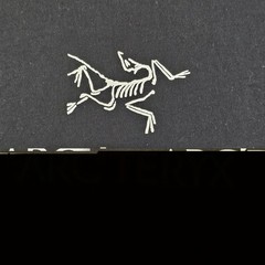 Arc’teryx Eagle Point Lodge Logo T-Shirt Black Short Sleeve Men’s M