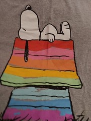 PEANUTS HYBRID T-SHIRT SZ XL 48″ CHEST GREY COLOR