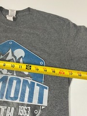 Belmont MEns Shirt Small Gray mountain graphic youth