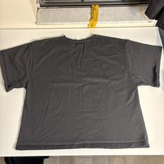 Coney Island Picnic x Everlast Faded Gray Cropped Boxy Graphic T-Shirt Mens 2XL