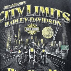 Harley Davidson Motorcycles 105th Anniversary Graphic Biker T-Shirt XXL Chicago