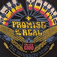 Neil Young Rebel Content Tour Promise of the Real T Shirt Organic Cotton 3XL