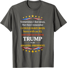 Sometimes I Feel Down But Then I Remember Funny Unisex T-Shirt