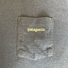 Patagonia Mens Blue Graphic T-Shirt Summer Casual Outdoors Tee | Size: M