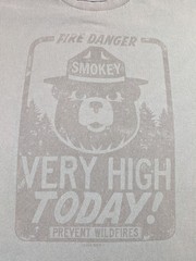Tee Luv Smokey Bear Shirt Mens XL Green Fire Danger Very High Today Graphic Tee