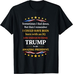 Sometimes I Feel Down But Then I Remember I Could Funny Tee T-Shirt