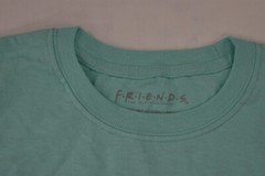 FRIENDS Mens Friends Television Show Mint Tee Shirt New S, M, L, XL, 2XL, 3XL