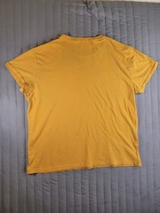 Aeropostale Men’s Large Yellow Graphic T-Shirt Original Brand Mountain Crew Neck