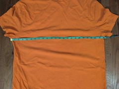 Polo Ralph Lauren Men’s Orange Seagull and Waves T-Shirt Large
