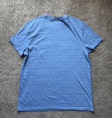 Goodfellow & Co Men’s L Standard Fit Crew Neck Short Sleeve Blue Stripe Tee