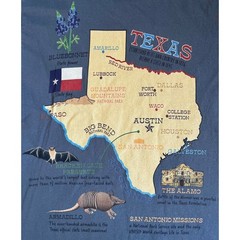 The Mountain Texas Map Graphic T-Shirt Blue Souvenir Cotton Mens Small S