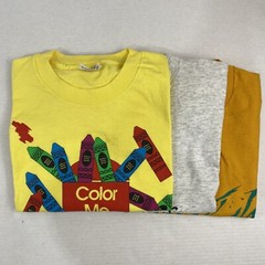 Wholesale Lot of 30 Vintage Short Sleeve Tee Shirts (Sizes In Description)