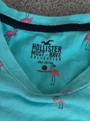 Hollister Brand, Men’s Tee Shirts, Sz Small Clothing, Short Sleeve Bundle